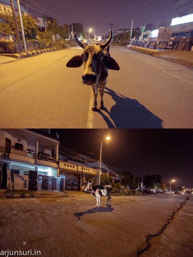 Photo by Arjun Suri Photography