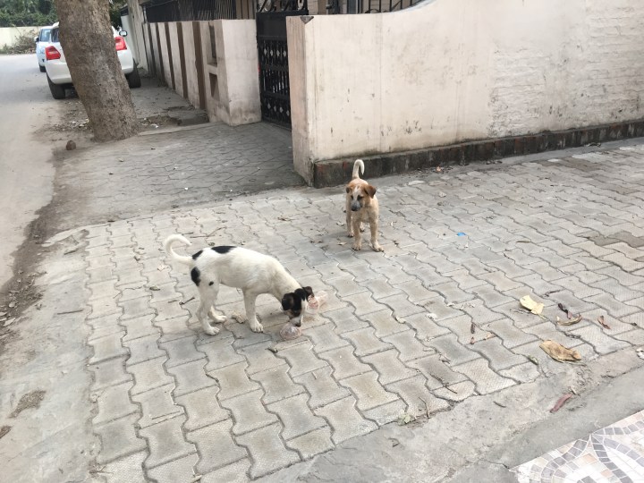 Ethical approach to make money from your&nbsp;website